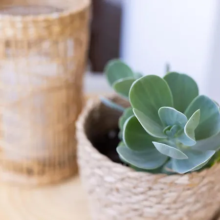 Casa Uamisun With Seaview & Pool Ferienhaus *